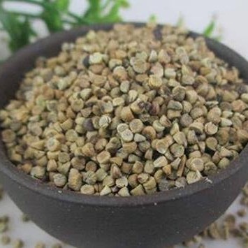 

100gr Herbal Dong Kui Zi Chingma Abutilon Seed Biji Kembang Sore