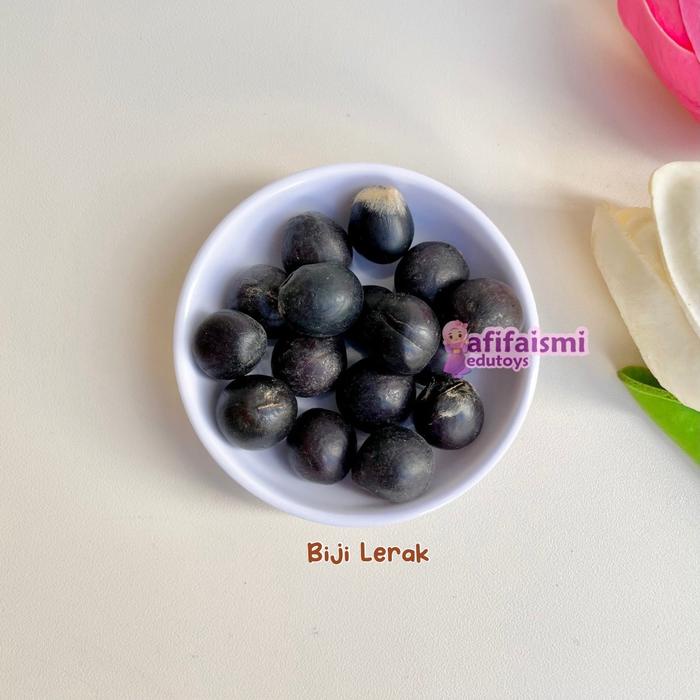 Bahan Kolase Biji-Bijian Biji Saga Genitri Biji Lerak Sengon Kerajinan Prakarya By Afifaismi