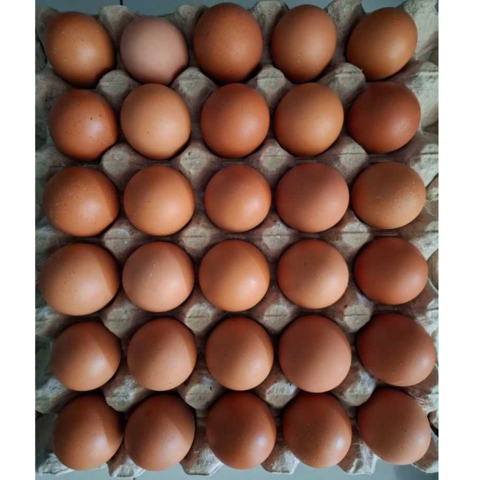 

(TopSeller) TELUR AYAM NEGERI FRESH PER KG