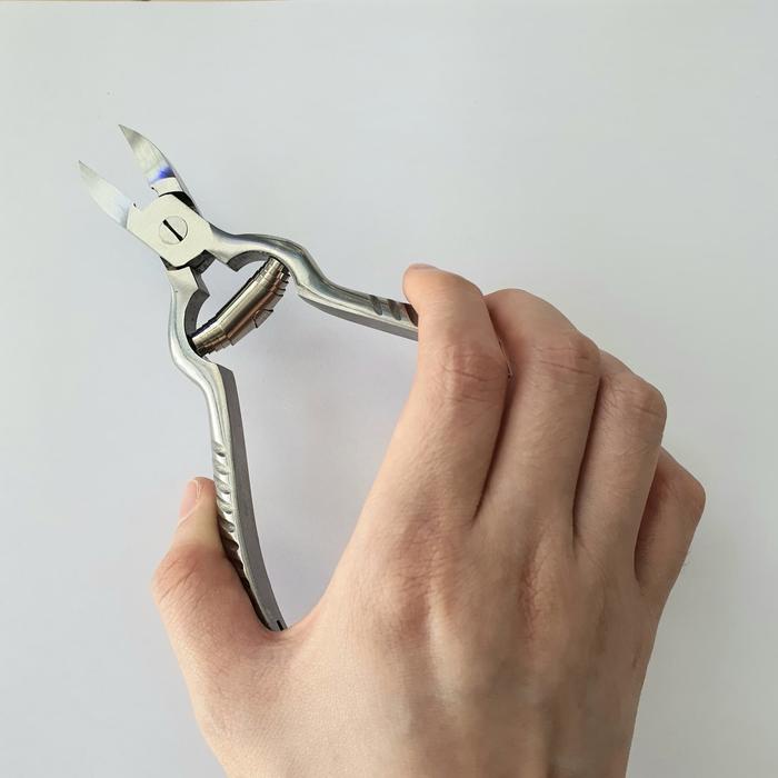 

pintar- Coral Cutter