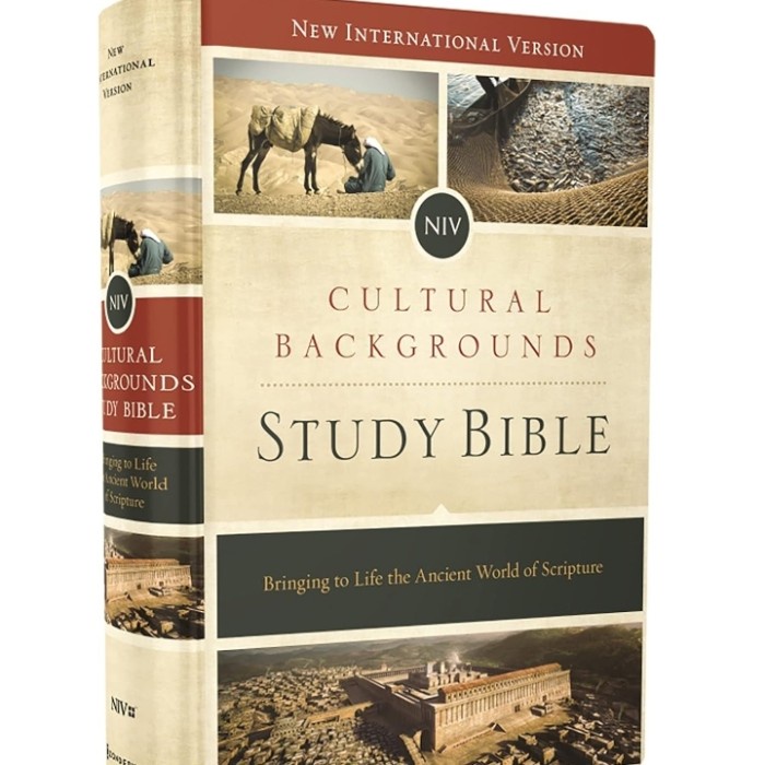 

NIV Cultural Backgrounds Study Bible Hardcover