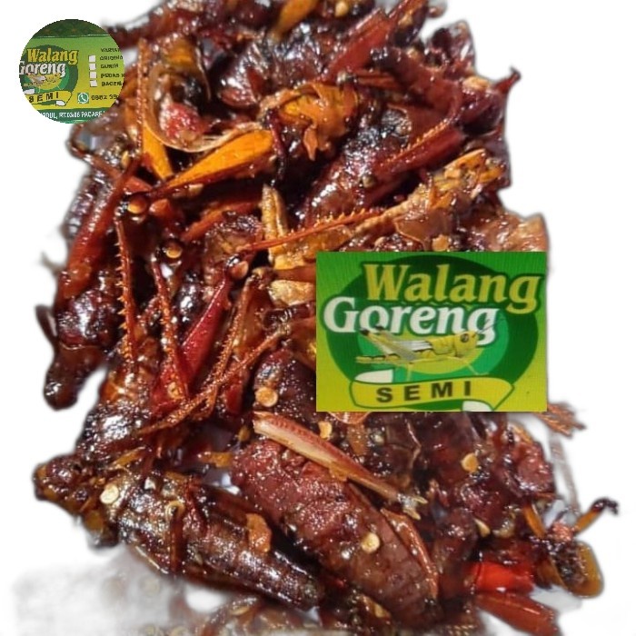 

Belalang Goreng /Simet/ Belalang Kayu Besar Cemila Pedas Gurih Keriyuk