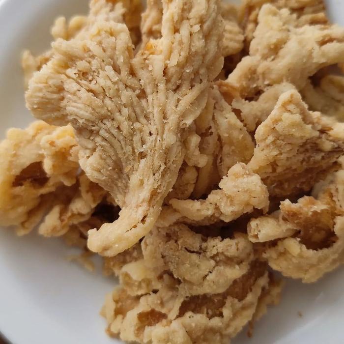 

..... Keripik Jamur Tiram Crispy Keripik Sayur Buah Premium