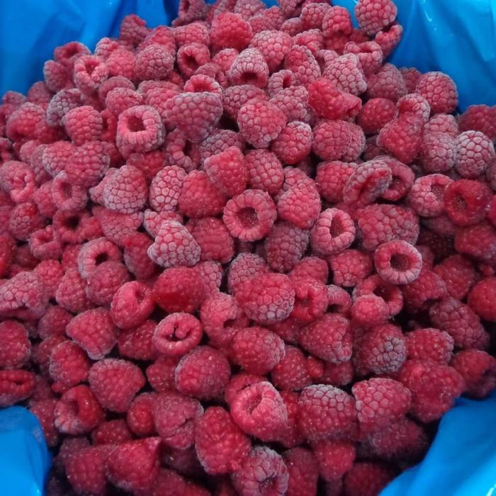 

Lezat- GROSIR TERMURAH 1kg Raspberry Import Frozen IQF Buah Raspberry Beku