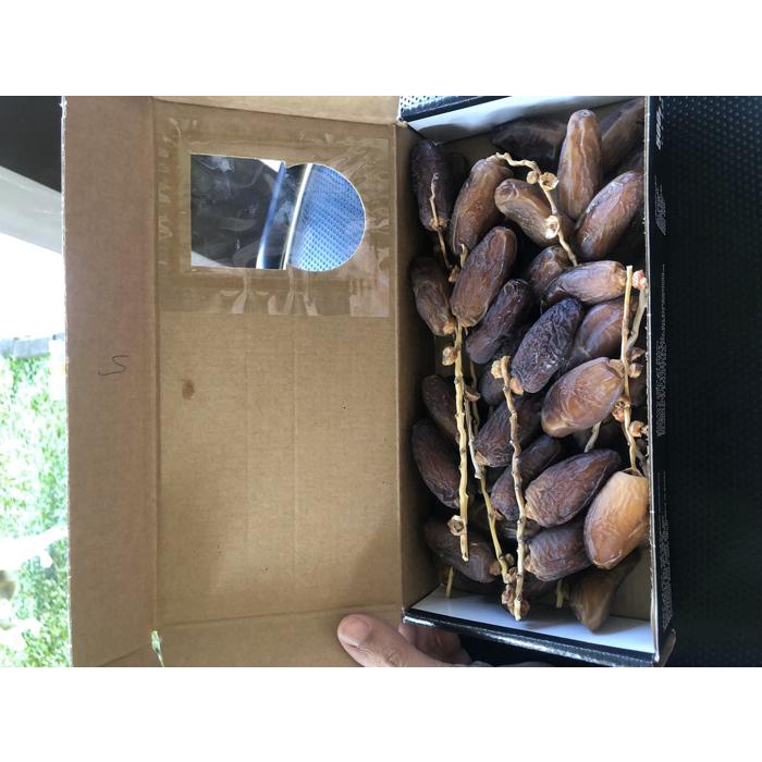 

Lezat- Kurma tunis palmfruit palm fruit original tunisia
