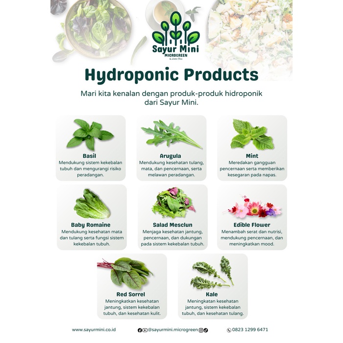 

Mustard 50gr - Salad Microgreen - Fresh Cut - Moster