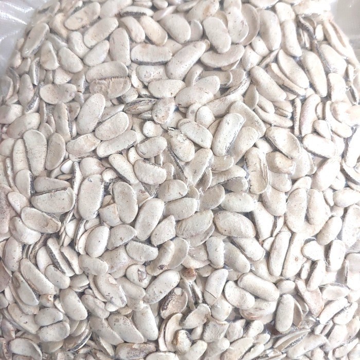 

(GoodSeller) Biji Mahoni Kupas 500 gram - Biji Buah Mahoni Kupas