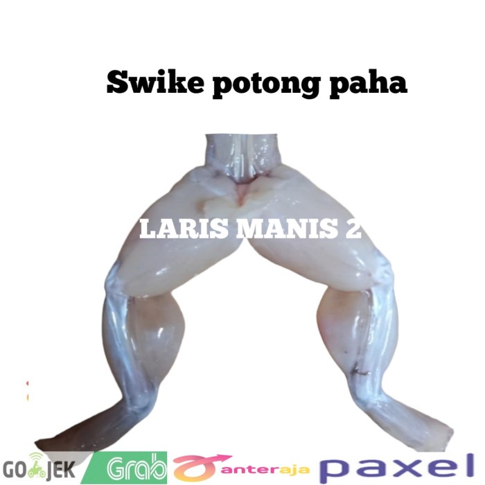 

Lezat- Daging kodok potong paha size besar 1000gram