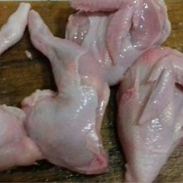 

Lezat- Daging ayam Tg paha/dada 1kg