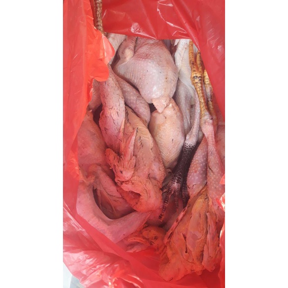 

Lezat- Ayam kampung berat bersih min.800gr