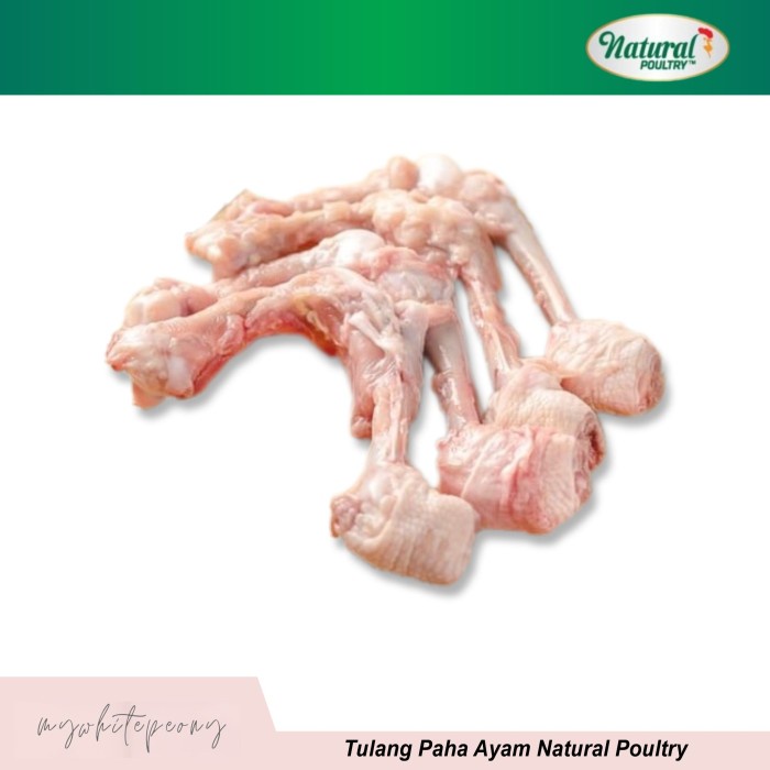 

Lezat- Tulang Paha Ayam Probiotik Natural Poultry 1 Kilogram