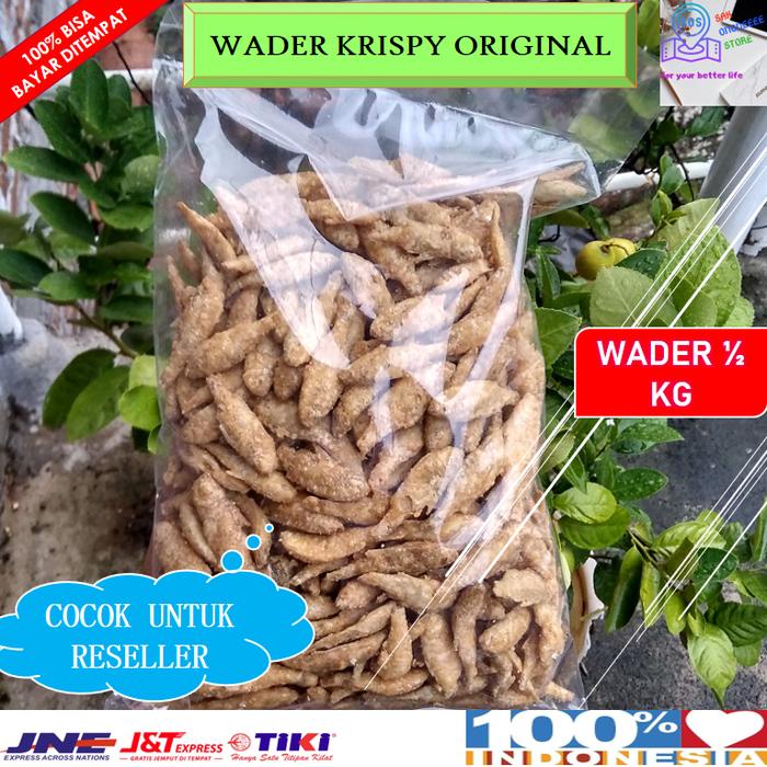 

Hot Sale Wader Krispy Original 1/2 Kilogram Ikan Wader Krispi 500 Gram Renyah Enak Bergizi Asli Rawa