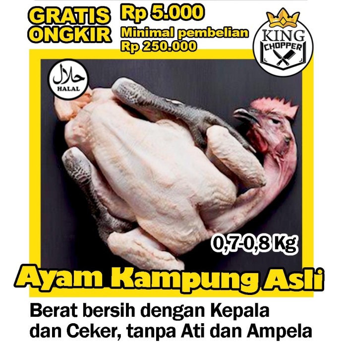 

Lezat- AYAM KAMPUNG ASLI SEDANG 0.7 - 0.8 KG DAGING FROZEN POTONG FRESH BEBEK