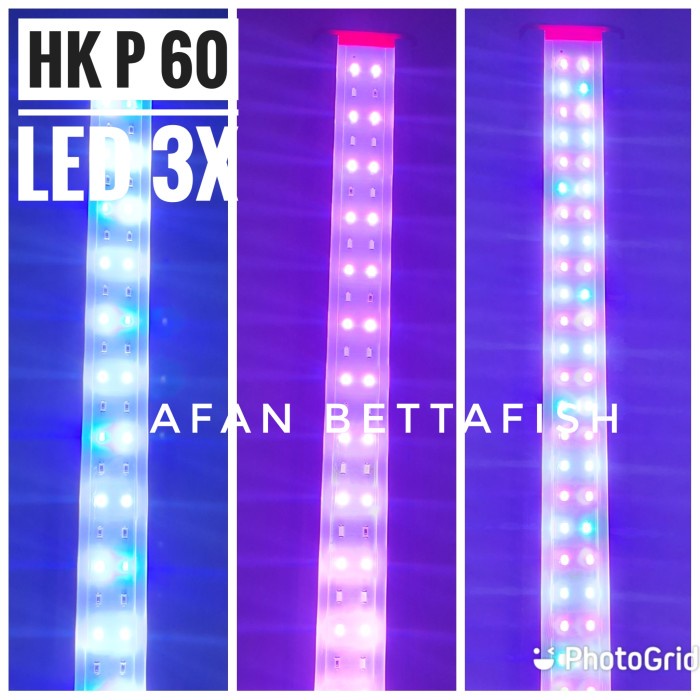 NEW.. LAMPU LED 60CM AQUARIUM AQUASCAPE HIKARI HK P 60LED 3X 14 WATT 3 WARNA