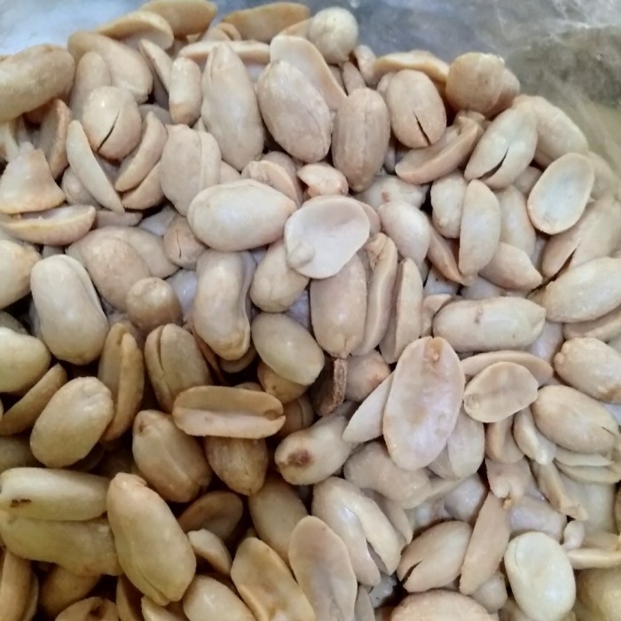 

(TopSeller) kacang bali besar kasuari 250 gr manis gurih camilan snack