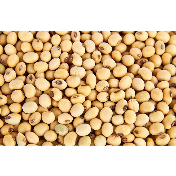 

(TopSeller) KACANG KEDELAI IMPORT USA 1 KG