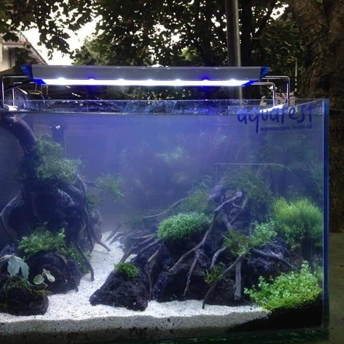 Cat Lover Shop Paket Aquarium Aquascape Fullset