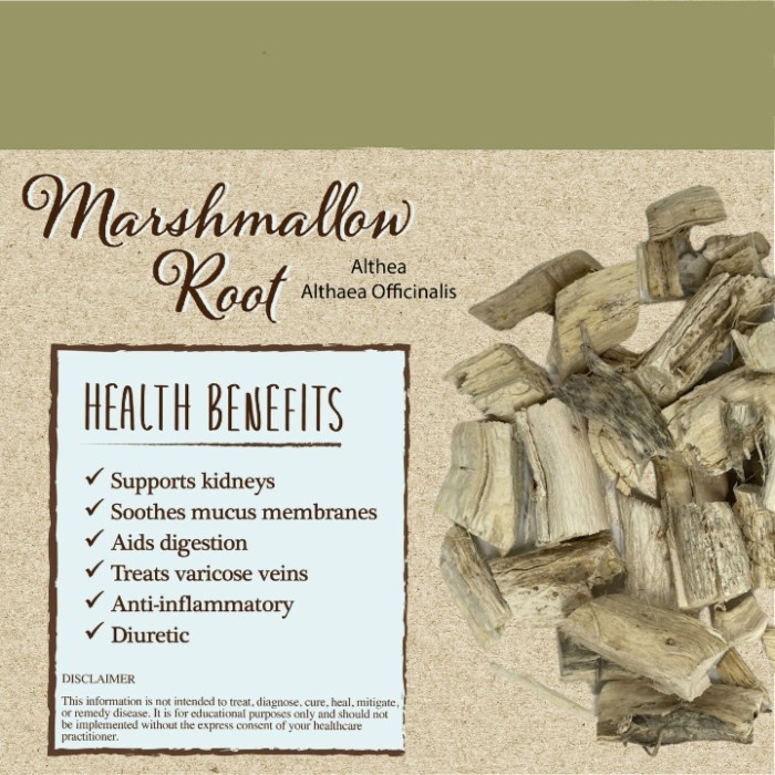 

BEST !! Marshmallow Root Tea : Marshmallow Althaea Officinalis (30 Tea Bag)