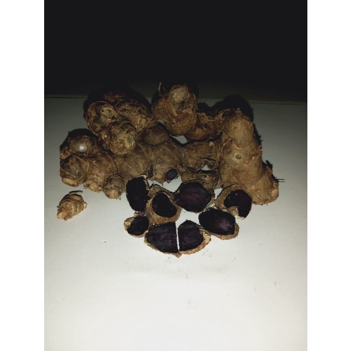 murah- Benih Kunyit Hitam Asli 100Gr