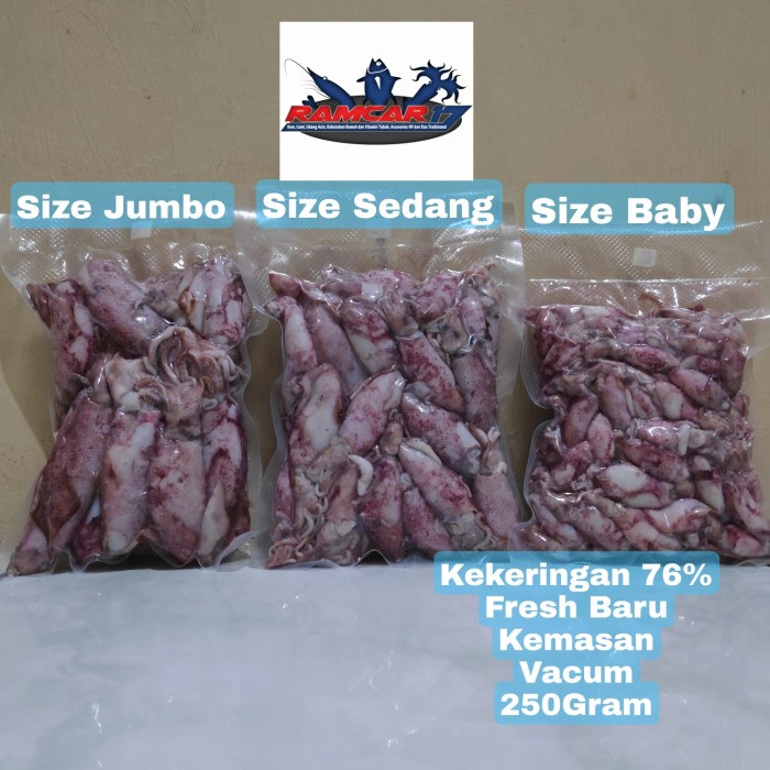 

Sotong / Cumi / Cumi Asin / Cumi Rebus 250 Gram Size JumboSedangBaby - Size Sedang