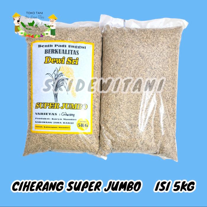 Terlaris- Bibit Padi Ciherang 5 Kg Super Jumbo Benih Unggul Berkualitas Idaman Para Petani Unggul