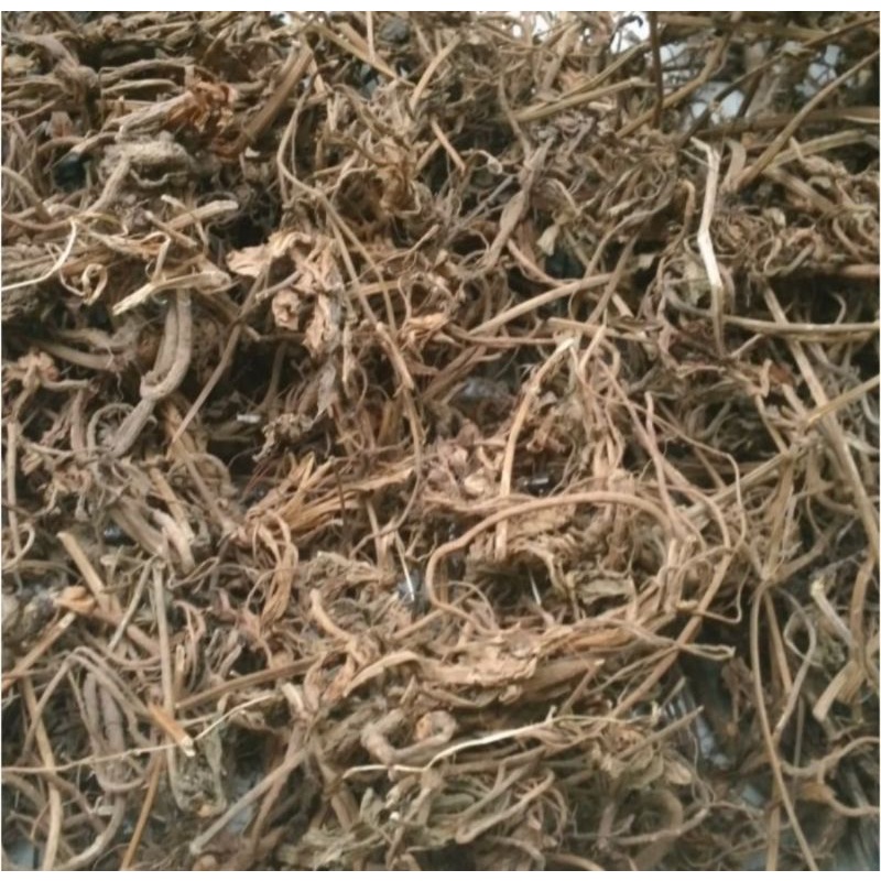 

FRESH Herbal Akar Purwoceng Kering Asli 100gr