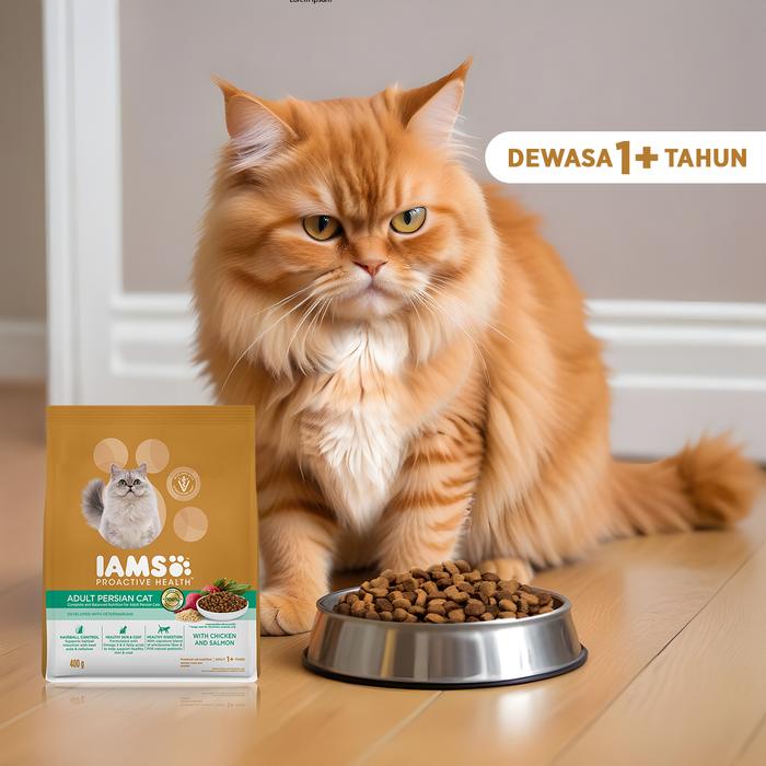Iams Proactive Health Makanan Kucing Persia Rasa Ayam Salmon 1 Kg