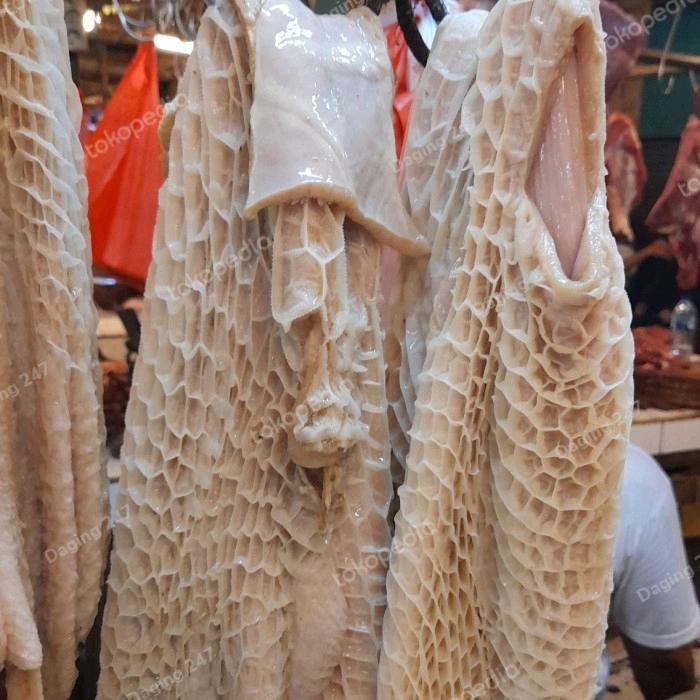 

Babat Putih Sapi Kantong Sarang Tawon