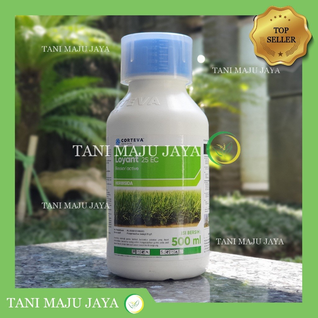 HERBISIDA LOYANT 25EC 500 ML OBAT PEMBASMI GULMA RUMPUT LIAR INDRENG JAWAN TANAMAN PADI CORTEVA