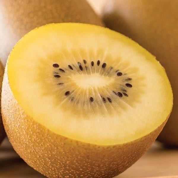 

BisaInstan- Gold Kiwi zespri
