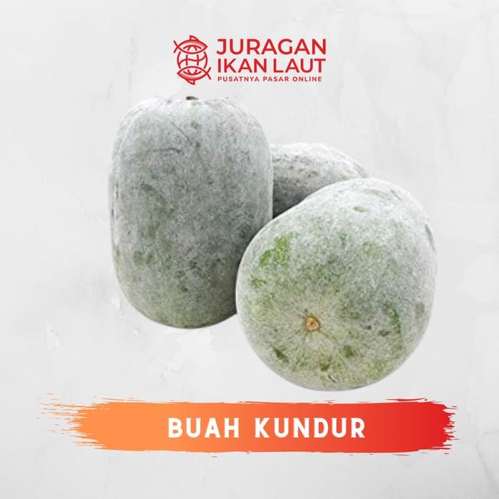 

BisaInstan- Buah Kundur Segar Berkualitas - 1 Buah