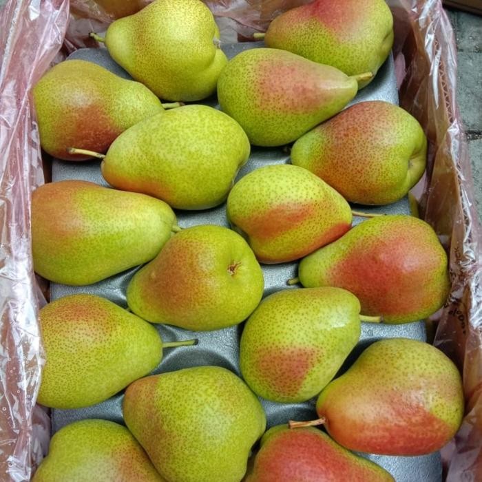 

BisaInstan- buah pir forelle ausie Australia no packham usa aus wangi lembut fresh