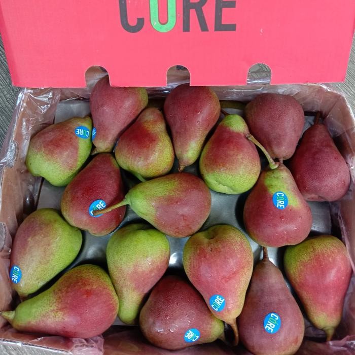 

BisaInstan- Pear forelle buah pear forelle pear fresh - 1kg