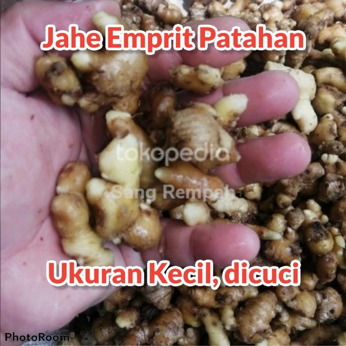 

BisaInstan- Jahe Emprit Ukuran Kecil (Bersih Dicuci) 1 kg