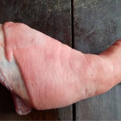 

Kirim,HariYgSama- kaki babi depan