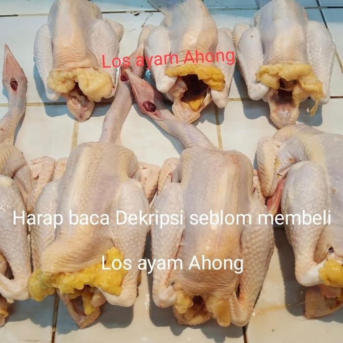 

Kirim,HariYgSama- Ayam kampung Asli dijamin fresh 100%