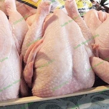 

Kirim,HariYgSama- ayam segar