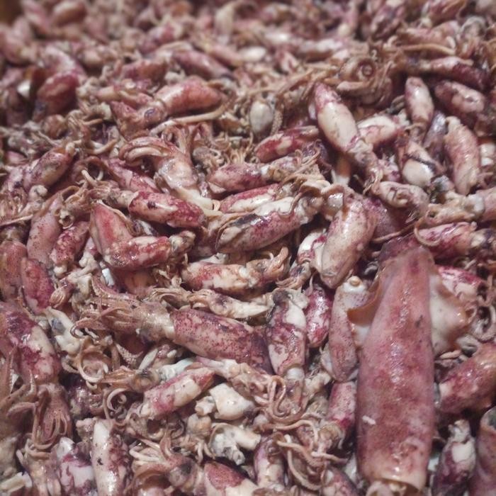 

NewZbgt- cumi asin 1kg