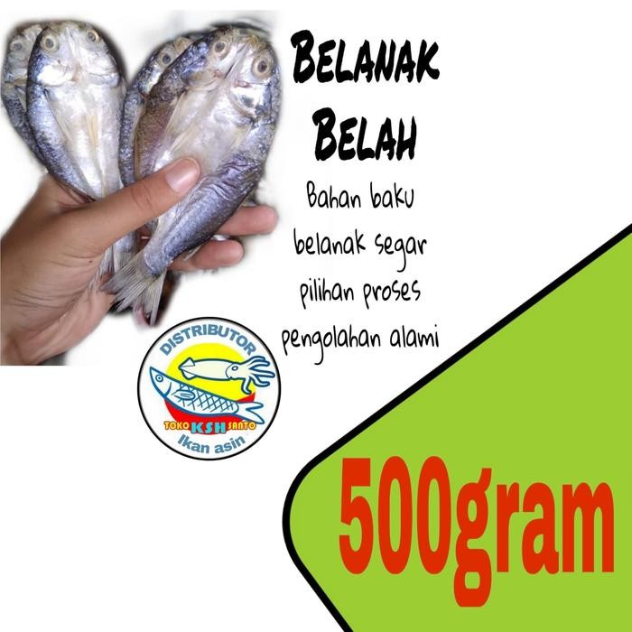 

NewZbgt- ikan asin Belanak belah-500gram