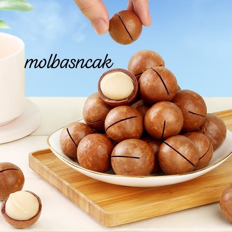 

Sajiandapur Kacang Macadamia Kacang Termahal Di Dunia 30Gr