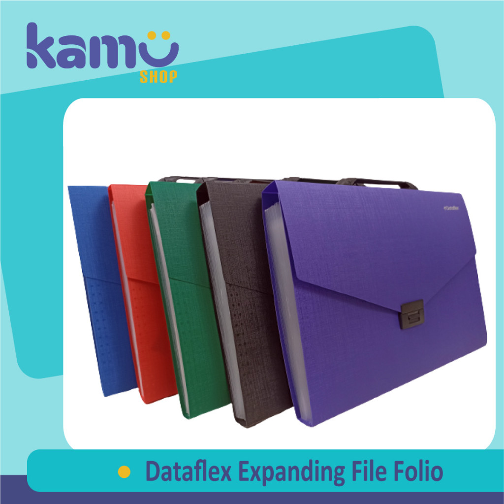 

Dataflex Expanding File Folio DF - 231