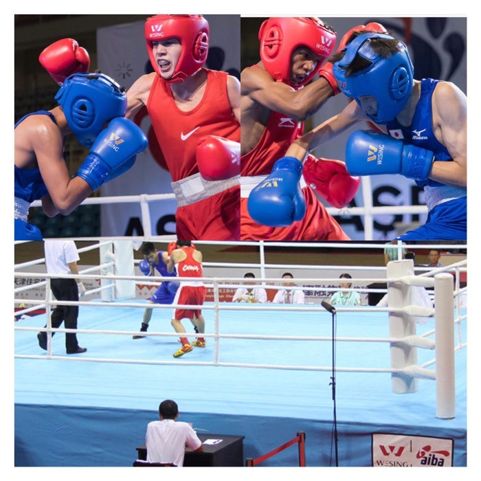 Grosir Sarung Tinju Wesing Aiba / Iba Approved / Boxing Gloves Muay Thai