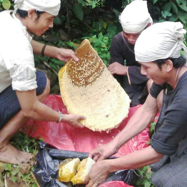 

Madu Hitam Pahit "Lebah Liar Baduy" 700Gr