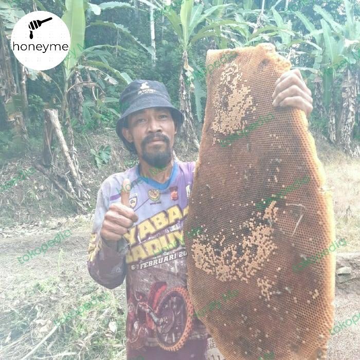 

Madu Murni Js Honey 100% Raw Honey Madu Asli Alam Nusantara