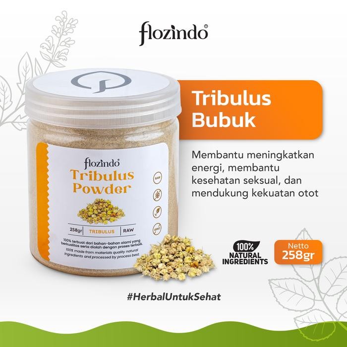 PvTerjamin- Flozindo Tribulus Bubuk / Tribulus Terrestris Powder
