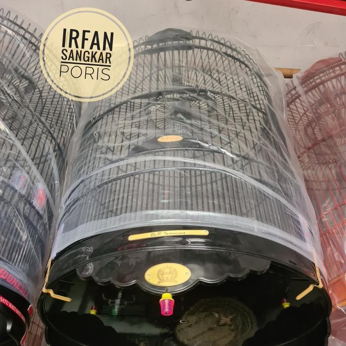 sangkar murai BnR rubicon atau black magic reborn terbaru