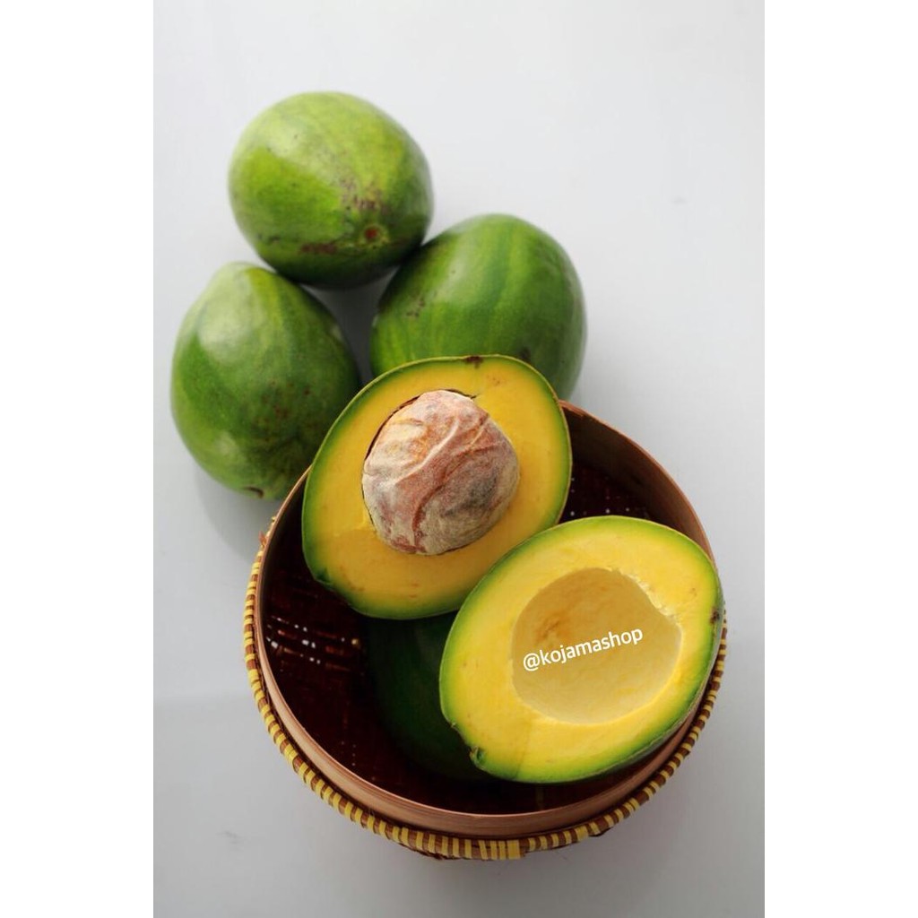 

InstanTanyadulu- Alpukat Mentega Kojama Reguler - 2Kg