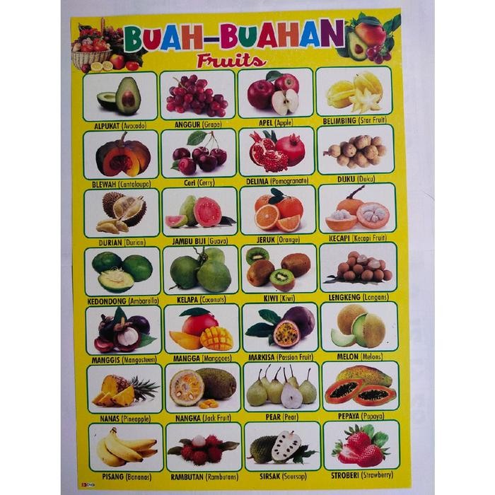

ID PAKET 6 LEMBAR POSTER EDUKASI L ANGKA 1-100 L HURUF BESAR L BUAH KUNING L HEWAN JINAK L MENGENAL