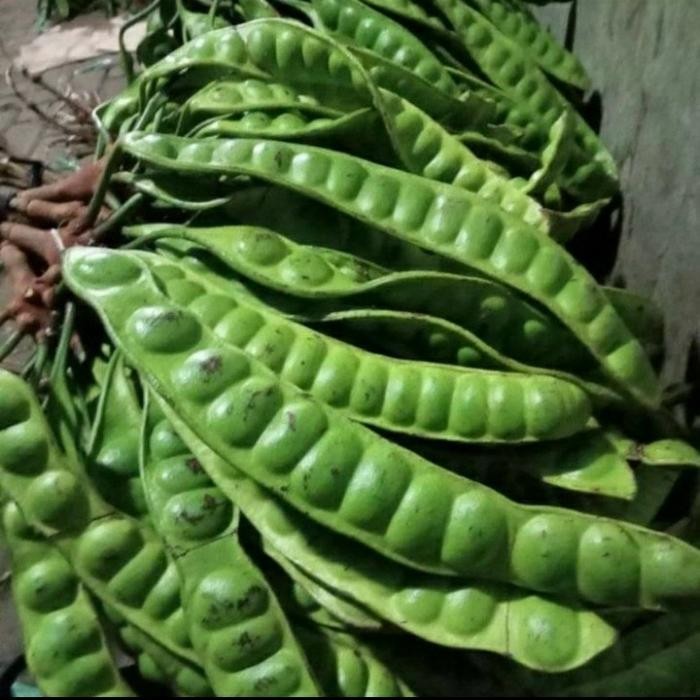 

Pete/petai/peuteuy *