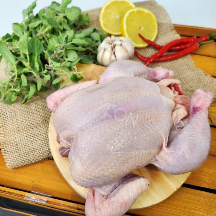 

TodayFre3sH- Ayam Broiler Utuh / Ayam Karkas / Ayam Broiler Fresh 1 Pcs -+800 Gr